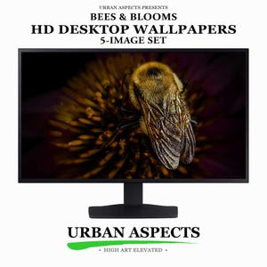 May include: A computer monitor displaying a high-definition image of a fuzzy bee resting on a dark flower. The text above reads URBAN ASPECTS PRESENTS BEES & BLOOMS HD DESKTOP WALLPAPERS 5-IMAGE SET. Below the monitor is the text URBAN ASPECTS.