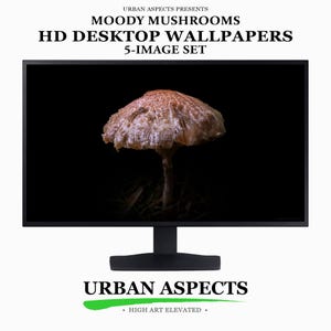 May include: A computer monitor displaying a high-definition image of a brown mushroom against a black background. The text above reads URBAN ASPECTS PRESENTS MOODY MUSHROOMS HD DESKTOP WALLPAPERS 5-IMAGE SET. Below is URBAN ASPECTS HIGH ART ELEVATED.