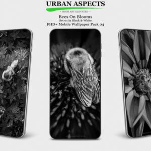 May include: Three smartphone screens displaying black and white nature-themed wallpapers. The wallpapers feature close-up images of bees on blooms. The top of the image reads "URBAN ASPECTS" and "Bees On Blooms".