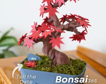 Bonsai 365 Tree Calendar - Japanese Maple Desktop Calendar