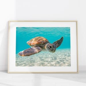 May include: A framed wall art print featuring a sea turtle swimming in clear turquoise water above a sandy ocean floor. The turtle has a patterned brown and tan shell with dark mottled flippers. The frame is a light-colored wood with a white mat.