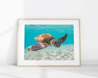 Green Sea Turtle Underwater Photo Print, Ocean Wall Art Poster, Coastal Marine Nature Decor