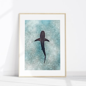 Reef Shark Swimming Over Sand Underwater Fine Art Photo Print, Abstract Shark Ocean Decor