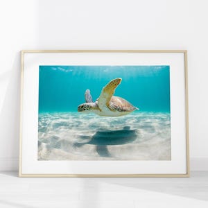 May include: A framed wall art print featuring an underwater photograph of a sea turtle swimming in clear turquoise water above a sandy ocean floor. The turtle is captured in profile with its flippers extended, casting a shadow on the white sand.