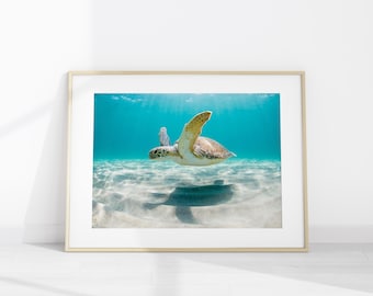 Green Sea Turtle Underwater Photo Print, Turtle Wall Art Poster, Tropical Ocean Decor