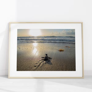 Sea Turtle Hatchling Photo Print, Baby Loggerhead Turtle Poster, Ocean Sunrise Wall Art