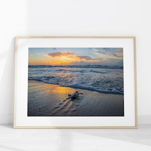Loggerhead Sea Turtle Hatchling Photo Print, Baby Turtle Wall Art, Ocean Sunrise Beach Poster