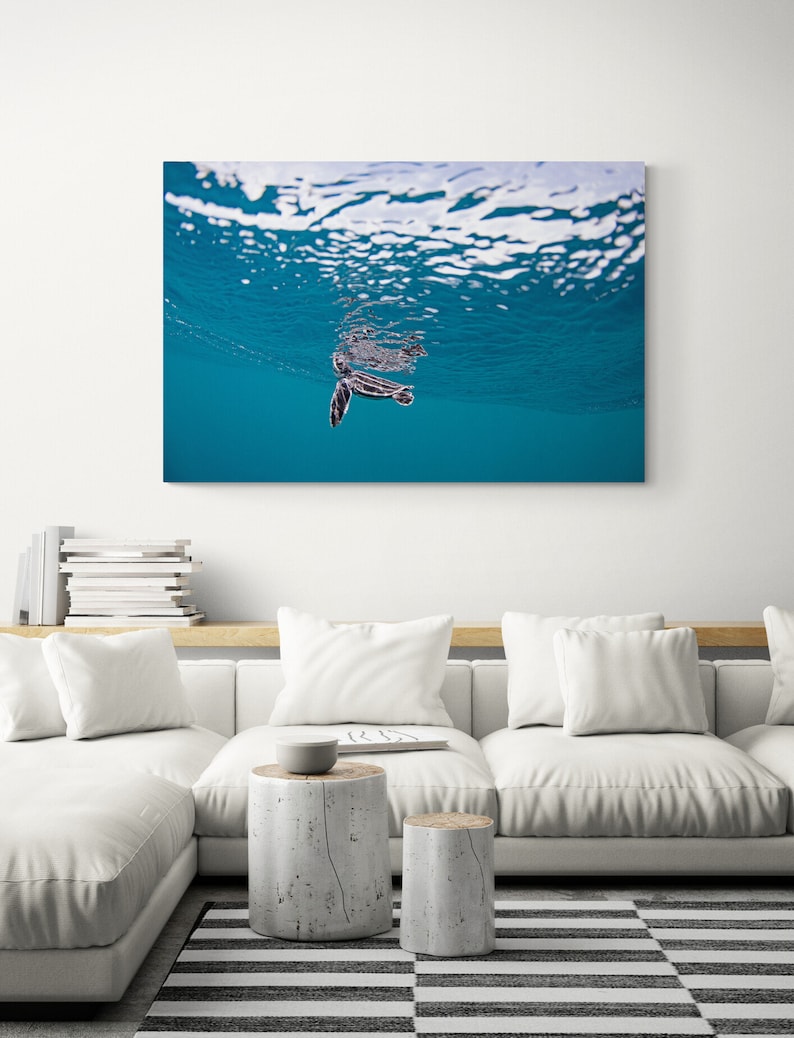 May include: A small sea turtle swims just below the surface of the water. The water is a bright blue and the turtle is dark grey with black markings. The surface of the water is rippled and reflects the sunlight.