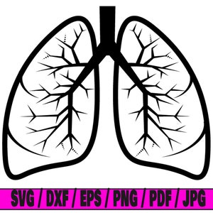 Płuca SVG, organy SVG, powietrze SVG, oddech SVG, zdrowie SVG, zdrowy SVG