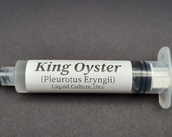 king Oyster liquid Culture