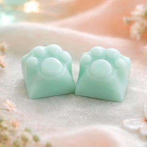 Può includere: Due oggetti decorativi a forma di zampa di colore verde chiaro. Ogni oggetto ha una base quadrata e un design a impronta di zampa sulla parte superiore, con un grande cuscinetto centrale e cuscinetti delle dita più piccoli. Sfondo sfocato con fiori.