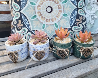 Maceta con forma de corazón "Te amo" con planta suculenta viva