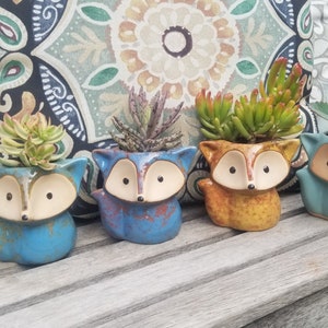 Fox Planter with Live Succulent Plant