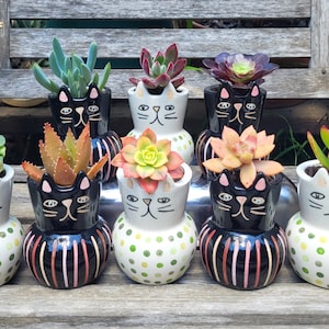 Adorable Cat Planter with Live Succulent Plant