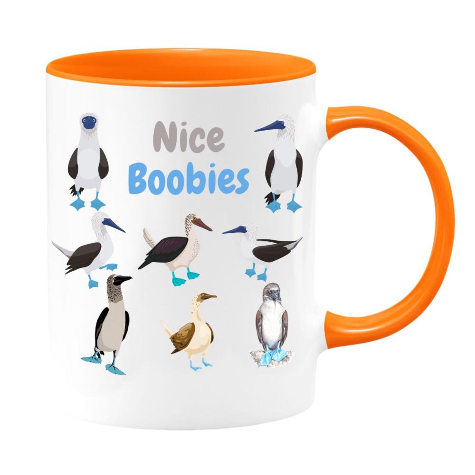 Nice Boobies Two Toned Mug Illustrated Birds Tea Cup Blue Etsy