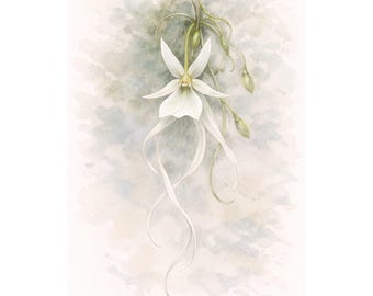 Stampa botanica dell'orchidea fantasma – Illustrazione ad acquerello di Dendrophylax Lindenii / Stampa artistica opaca da parete / Baremoon Home Prints