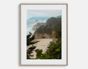 Puede incluir: Una fotografía enmarcada de un paisaje costero con una playa de arena, acantilados rocosos y árboles verdes exuberantes. El océano es visible en el fondo y el cielo está nublado.