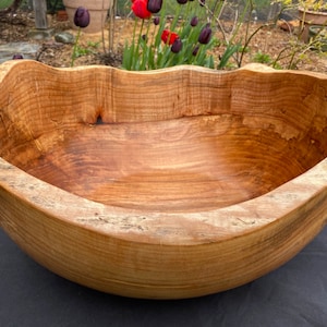 Large Live Edge Spalted Western Maple Bowl 50cm #1217