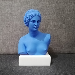 Venus de Milo - Aphrodite Bust Head 7.87in - 20cm Alabaster & White Marble Handmade Sculpture Free Shipping - Free Tracking Number