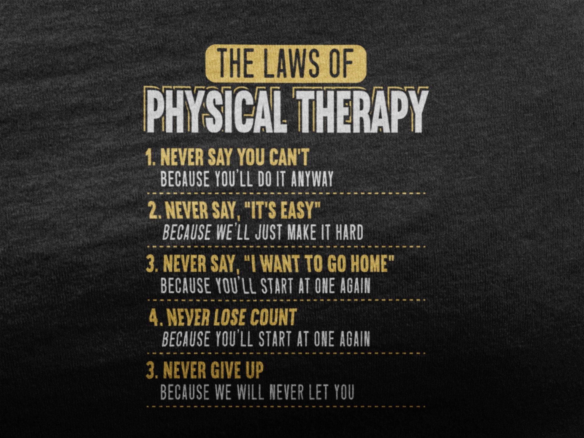 Laws Of Physical Therapy Shirt Physiotherapie TShirt für PT Etsy
