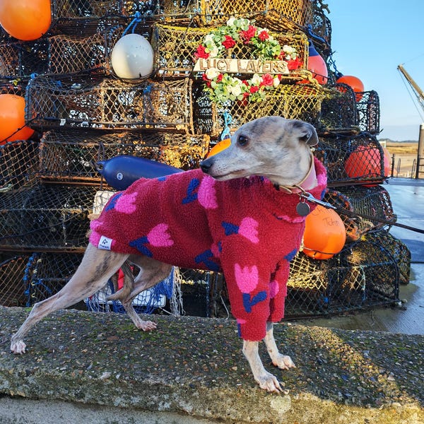 Borg fleece dog jumper for Whippets & Italian Greyhounds