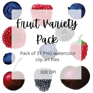 Aquarela Fruit Variety Pack Clip Art Arquivos PNG, Aquarela Citrus, Bagas, Maçã, Cereja, Melancia, Aquarela Flourish Co