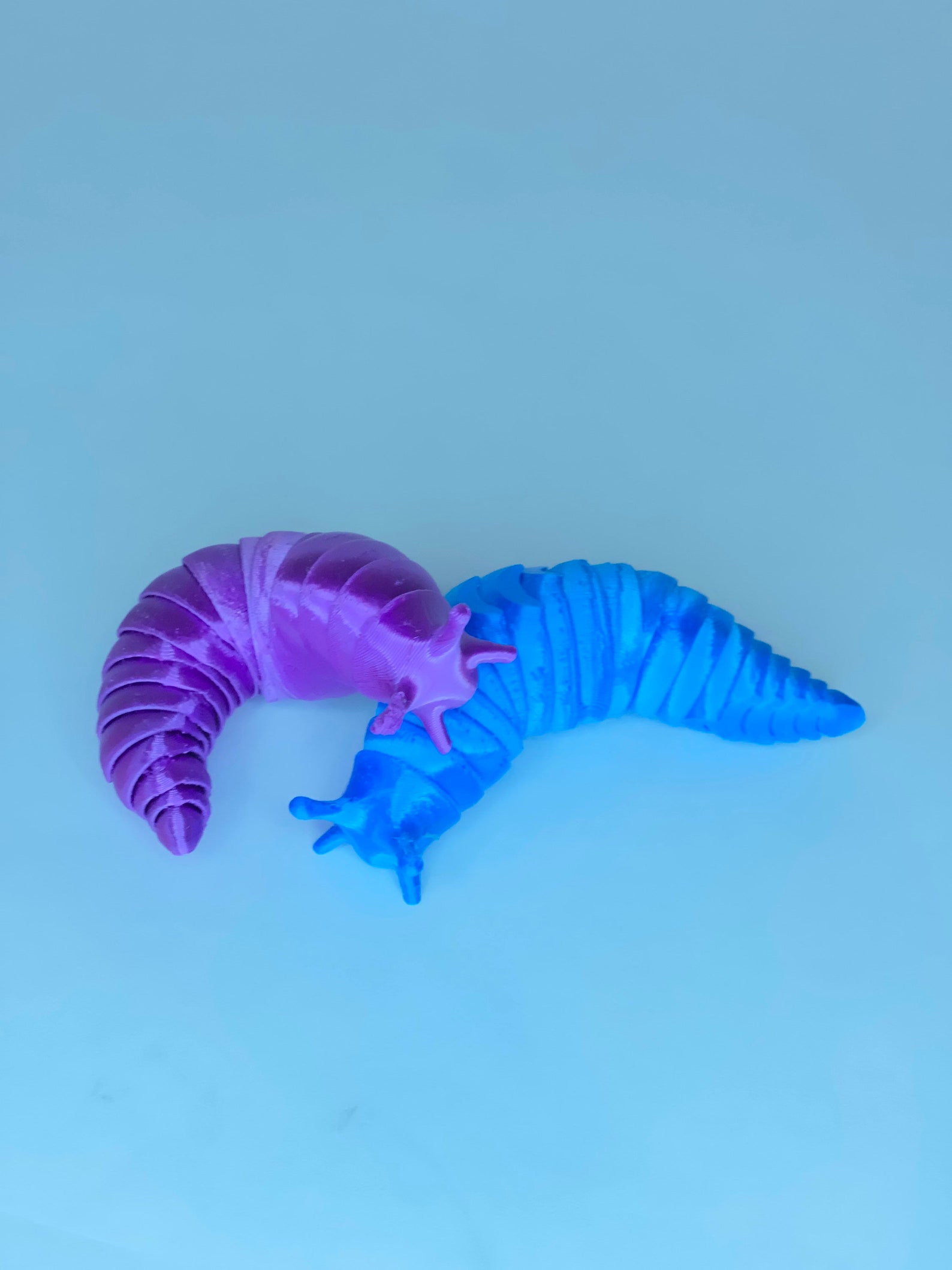 Desk Slug 3D Slinky Slug! Fidget Toy - Desk Toy - Giant Slug - - Etsy