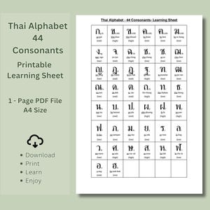 Thai Alphabet Chart | 44 Thai Consonants Learning Sheet | A4 Letter Size Printable PDF for Kids & Beginners | Thai Language Study Resource