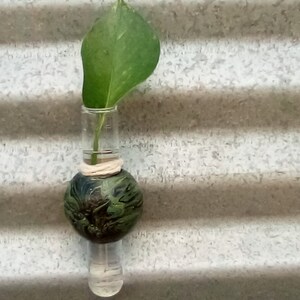 May include: A green ceramic vase with a leafy green plant in a glass test tube. The vase has a textured surface and is shaped like a sphere.