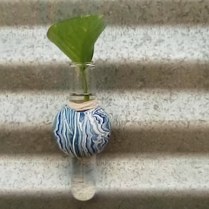 May include: A blue and white ceramic vase with a round base and a clear glass tube. A single green leaf is in the vase.
