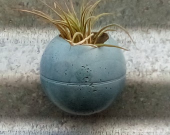 Air plant magnet planter