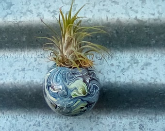 Air plant magnet planter