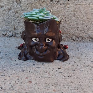 May include: A brown ceramic planter shaped like a tree stump with a smiling face and googly eyes. The planter is filled with a green succulent plant.