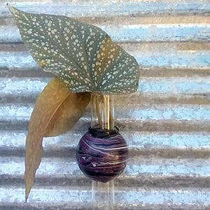 Plant Propagator Magnet