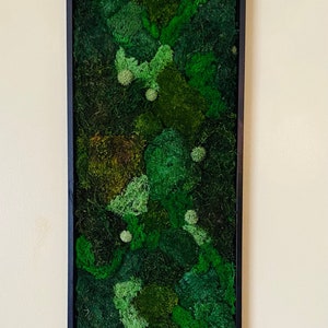 Large affordable wall art, Moss art, Fengshui art, Nature art, Framed art, Vertical garden, Living art