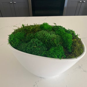 Beautiful preserved oval moss table centerpiece for home decoration