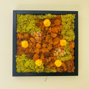 Wandkunst, Mooskunst, Fengshui Kunst, Naturkunst, Gerahmte Kunst, Vertikaler Garten, Wohnkunst, Erschwingliche Kunst