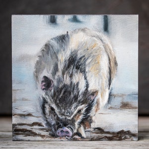 Olieverfschilderij "Op zoek" - varkentje, dagelijks schilderen, handgemaakt, olieverf op MDF-plaat 15 x 15 cm