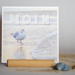 Kartenset mit Holzständer, Thema "Sehnsucht nach Meer", 6 Karten je 300g, 14,8 x 14,8 cm mit Eichenholzständer