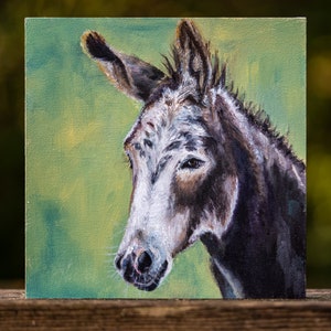 Olieverfschilderij "Waar kijk je naar?!" - Ezel, dagelijks schilderij, handgemaakt, olieverf op MDF-plaat 15 x 15 cm