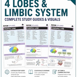 May include: A set of educational study guides titled Psych Explained 4 Lobes & Limbic System. The guides feature text, diagrams, and color-coded brain illustrations for the frontal, parietal, and temporal lobes, including key terms and learning objectives.