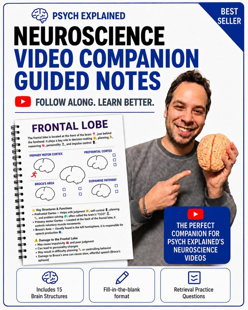 May include: A spiral-bound notebook titled Neuroscience Video Companion Guided Notes with a page about the frontal lobe, featuring diagrams of brain structures, fill-in-the-blank sections, and text about key structures and functions.