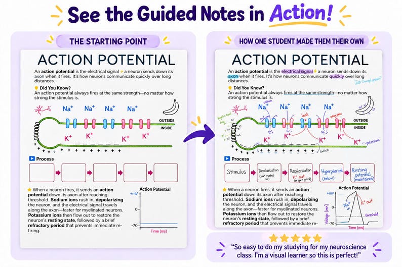 May include: Educational guided notes titled Action Potential showing a neuron diagram with sodium and potassium ions, a process flowchart, and a graph. The left side shows a blank template, while the right side shows a completed version with handwritten notes.