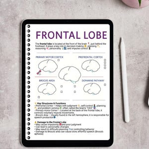 May include: A digital tablet displaying an educational study guide titled Frontal Lobe. The page features diagrams of the brain, text explaining the primary motor cortex, prefrontal cortex, Broca's area, and dopamine pathway, plus key functions and damage effects.