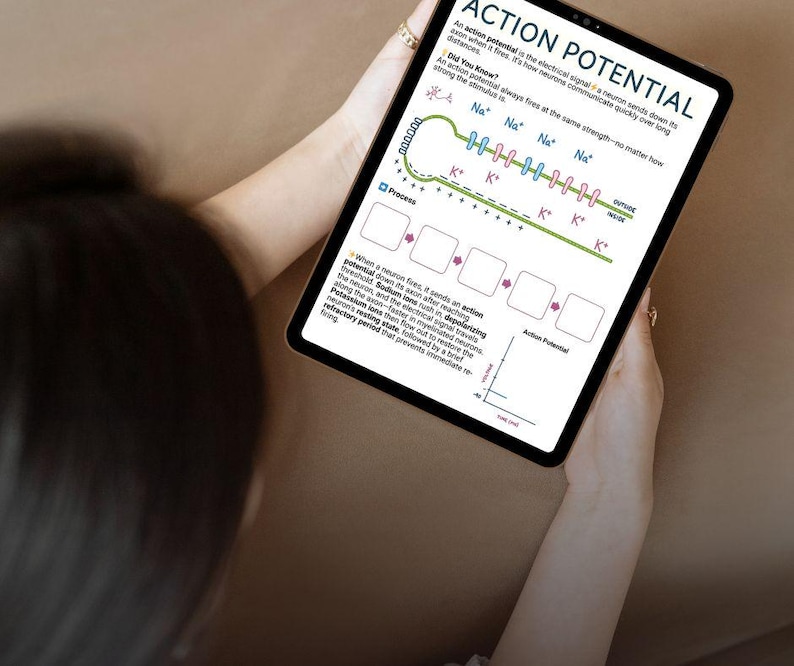 May include: A tablet screen displaying an educational infographic titled Action Potential. The graphic illustrates a neuron axon with sodium and potassium ions, a process flow chart with empty boxes, and a graph showing action potential over time.