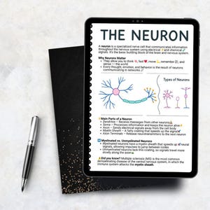 May include: A digital tablet displaying an educational infographic titled THE NEURON, featuring diagrams of nerve cells, bulleted text explaining neuron functions, parts, and types, accompanied by a black and silver ballpoint pen on the side.