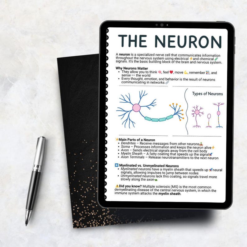 May include: A digital tablet displaying an educational infographic titled THE NEURON, featuring diagrams of nerve cells, bulleted text explaining neuron functions, parts, and types, accompanied by a black and silver ballpoint pen on the side.