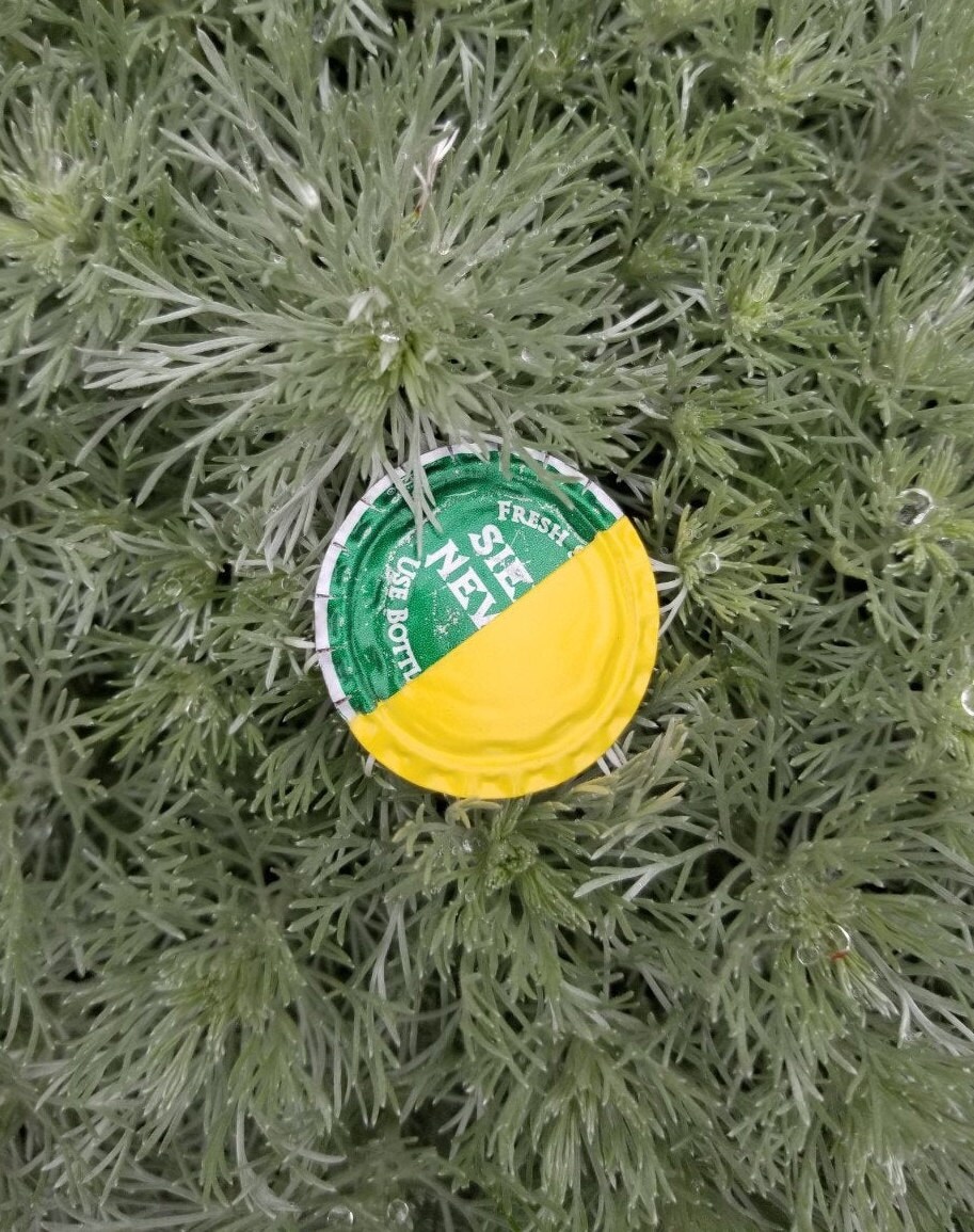 Solarpunk Pin Upcycled Solarpunk Bottlecap Pins - Etsy UK