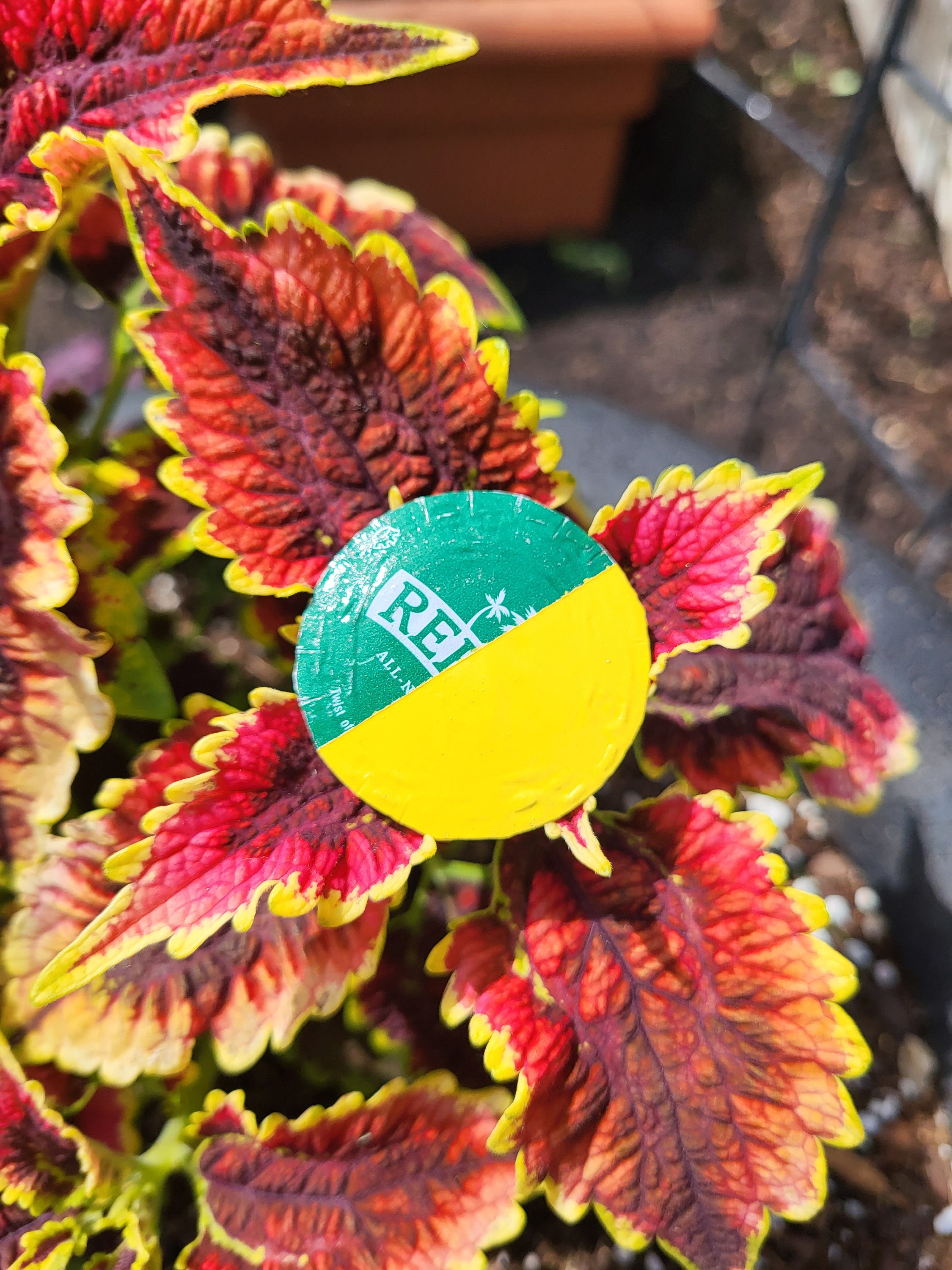 Solarpunk Pin Upcycled Solarpunk Bottlecap Pins - Etsy UK