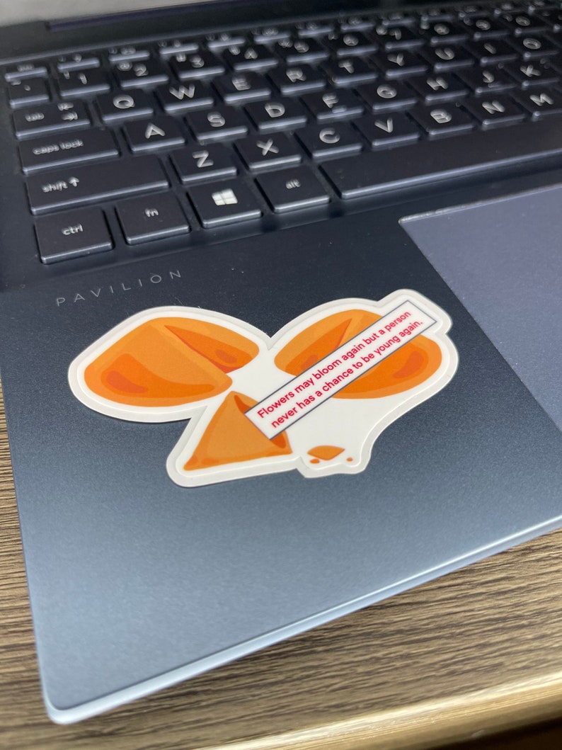 Bluey Inspired Takeout Fortune Cookie Sticker Waterbottle Etsy